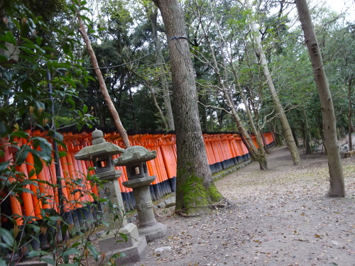 伏見稲荷大社  (10).JPG