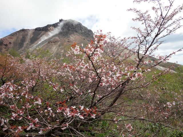 170605tozan07.jpg