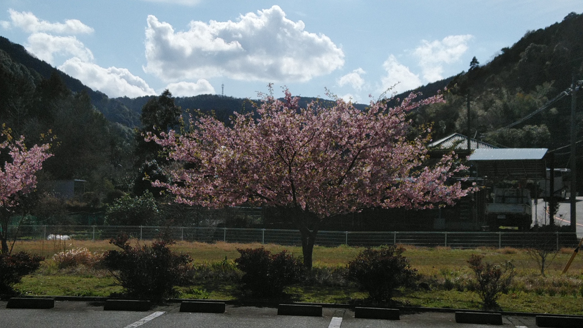 20190309  DSC_0010.jpg.jpg