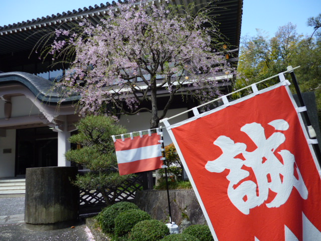 P1070424.JPG