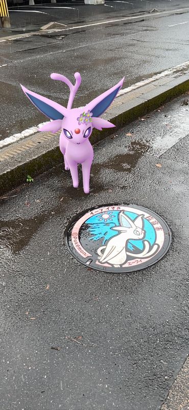 ポケモン_10_エーフィ2.jpg