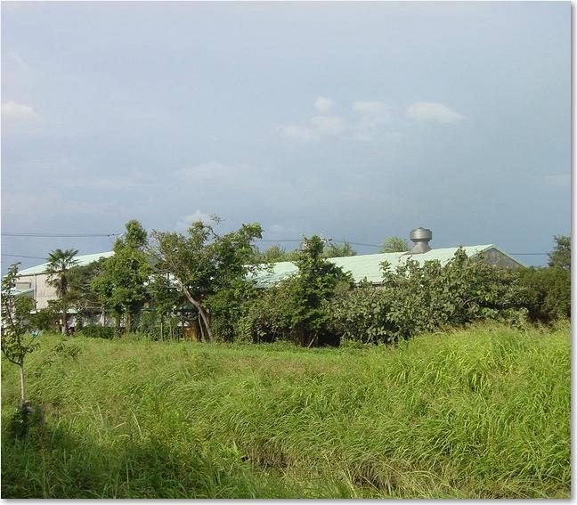 52ホームのすぐ裏