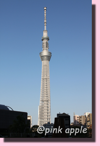 スカイツリー１.JPG