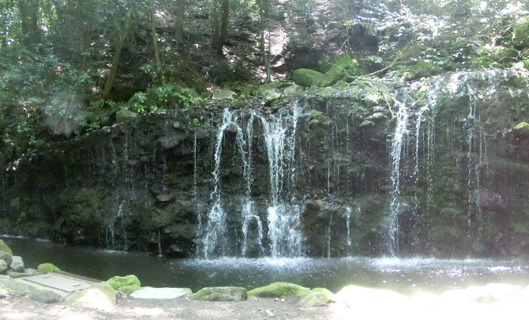 kowa5.jpg