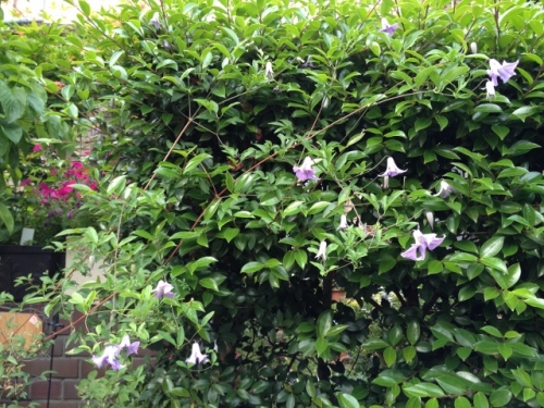 IMG_8935 (640x480).jpg