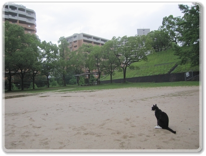 9901散歩_9901.jpg
