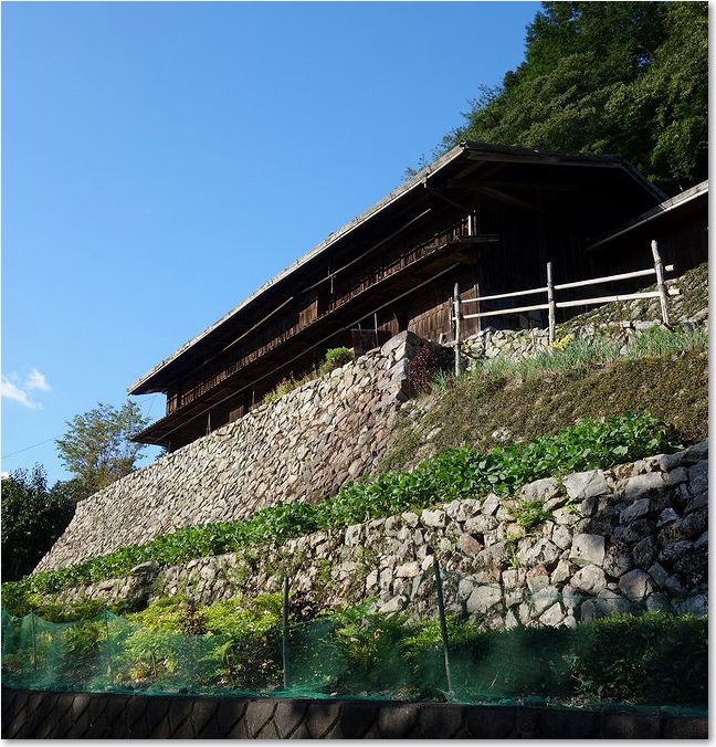 99崖の上の木造