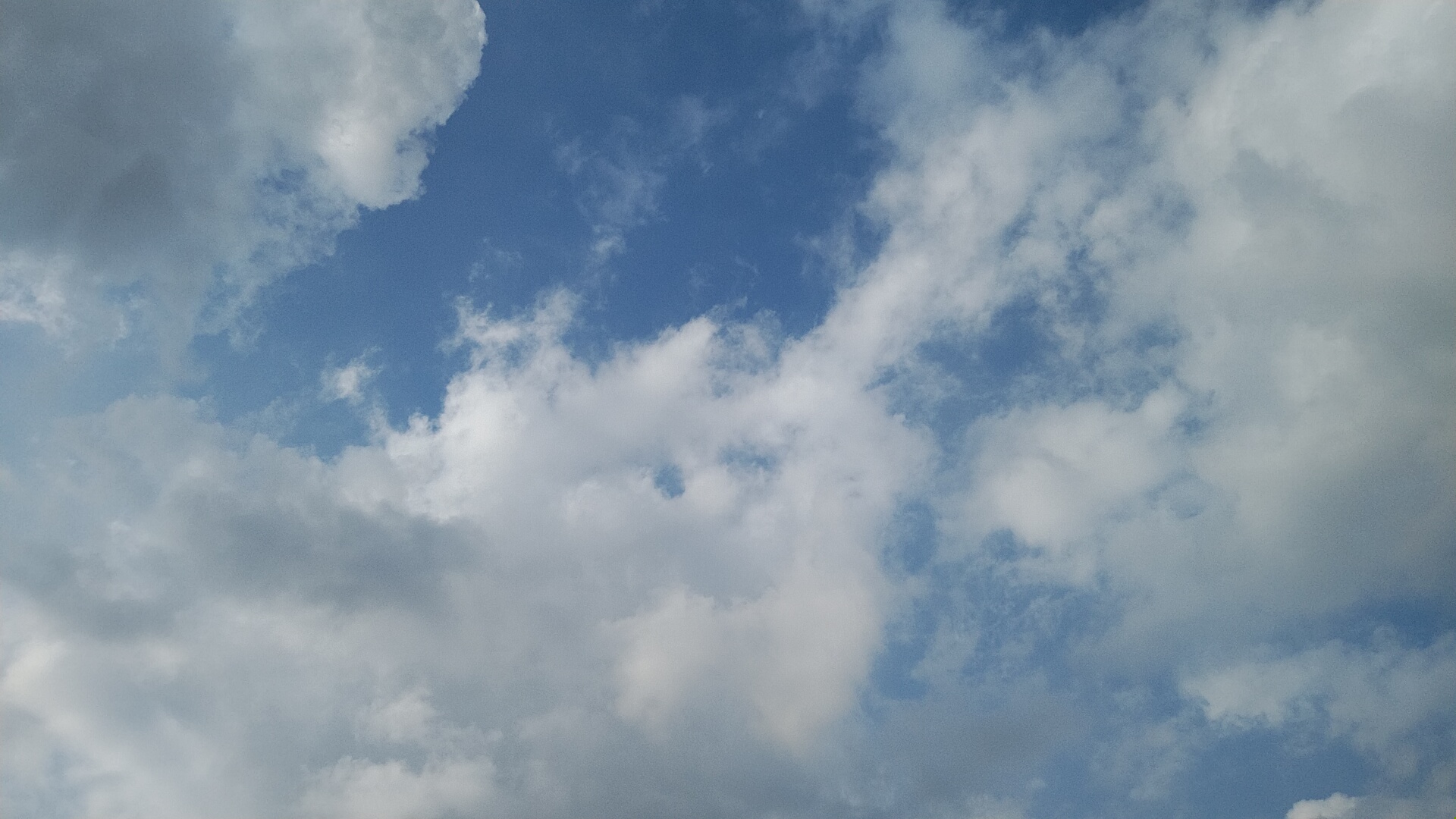 20220904  DSC_0003.jpg