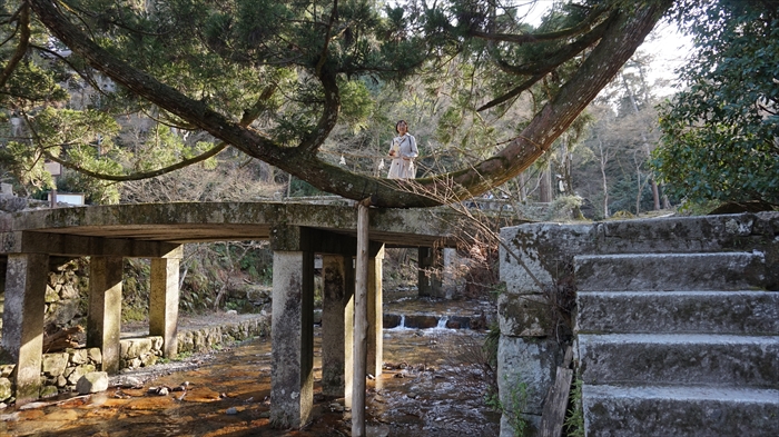 20160322 16111901.JPG