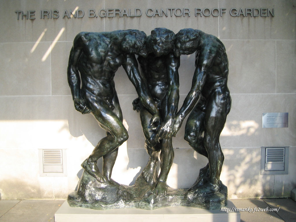 227_METROPOLITAN MUSEUM --- roof