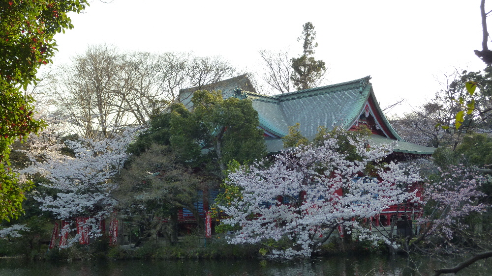 P1120219.JPG