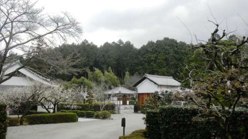 011円照寺 (2).JPG