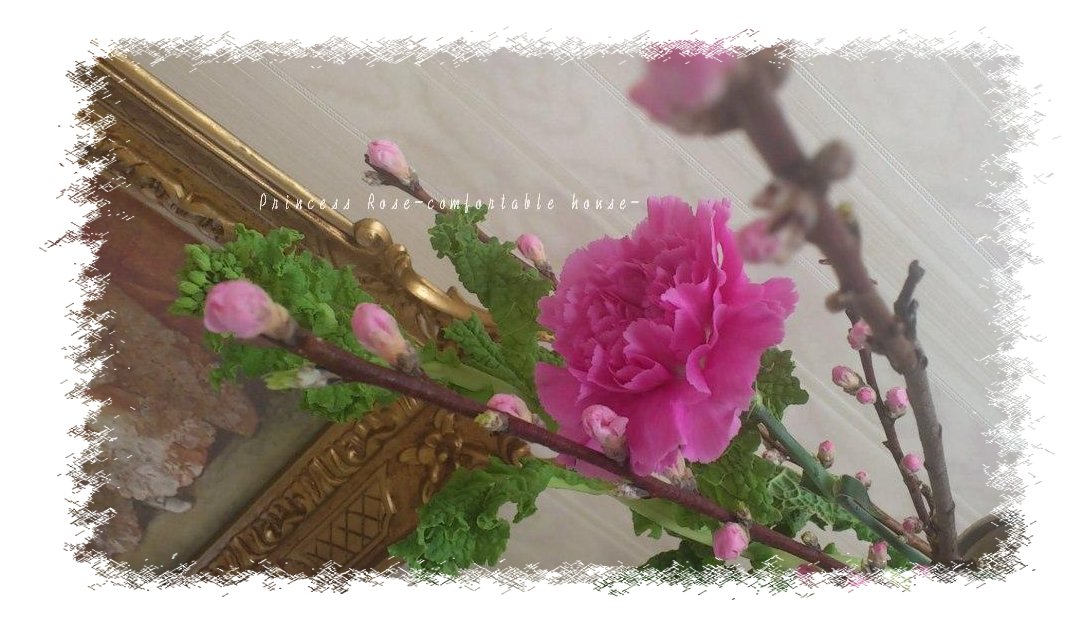 ２月１５日　桃の花♪