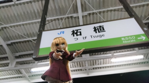 柘植駅　リプー.jpg