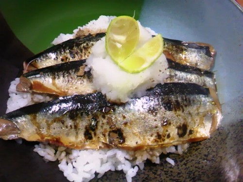 炙りさんま丼.JPG