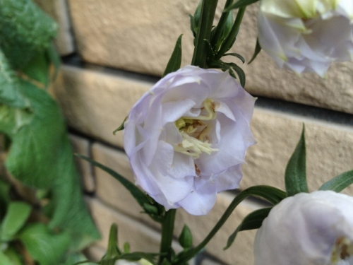 IMG_9357 (640x480).jpg