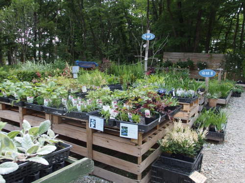 2015-06-10 12.50.52.jpg