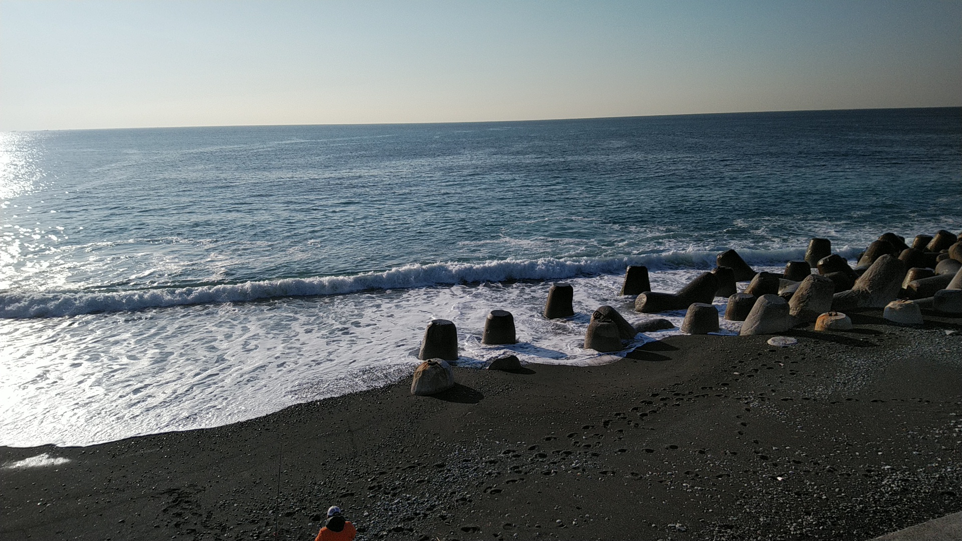 20190309  DSC_0005.jpg.jpg