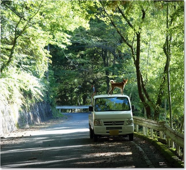 103屋根の上の・・・