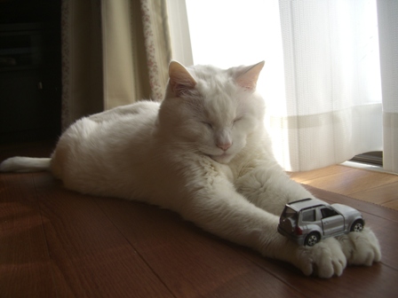 CIMG0464.JPG