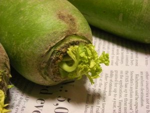 DSCN4778 (300x225).jpg