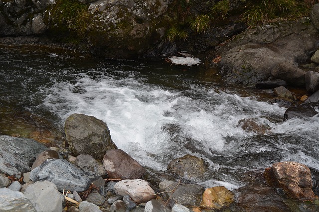 showPhoto (640×426)