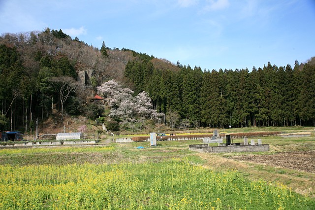 0410-1.jpg