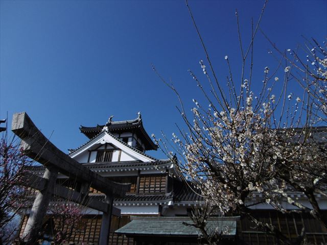 P1010328_R.JPG