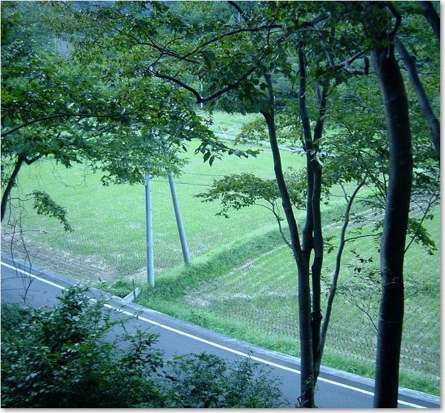 24右下に道路.JPG
