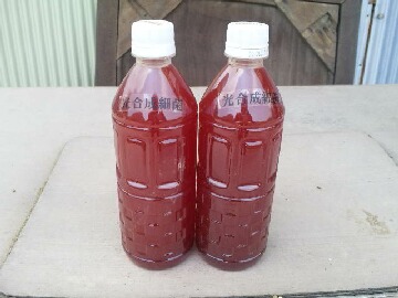 光合成細菌2回目の潅水.jpg
