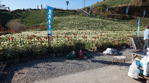 20150108 13384001.JPG