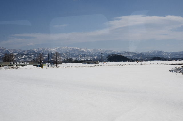 DSC_5177.JPG