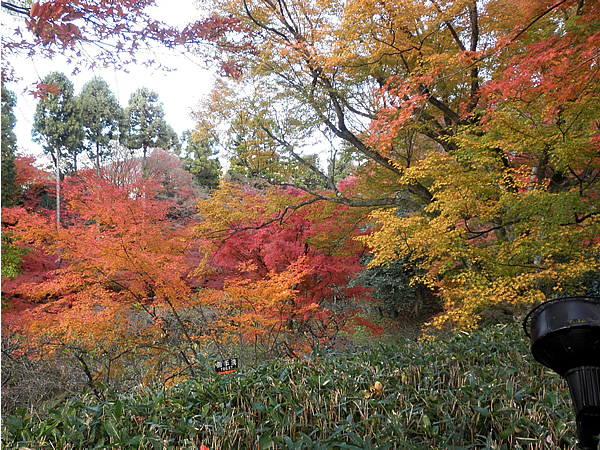 kitanotenmangu-1.jpg