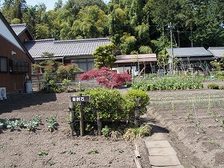 P4280008.jpg