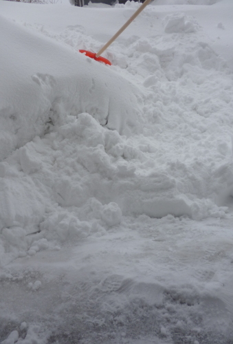 雪投げ