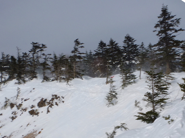 C:\fakepath\水ノ塔山、篭ノ塔山201401252.jpg