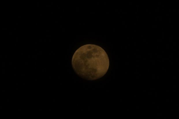 _DSC2374.JPG