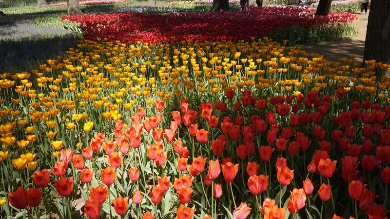 20150430 10441101.JPG