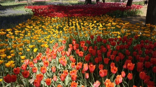 20150430 10441101.JPG