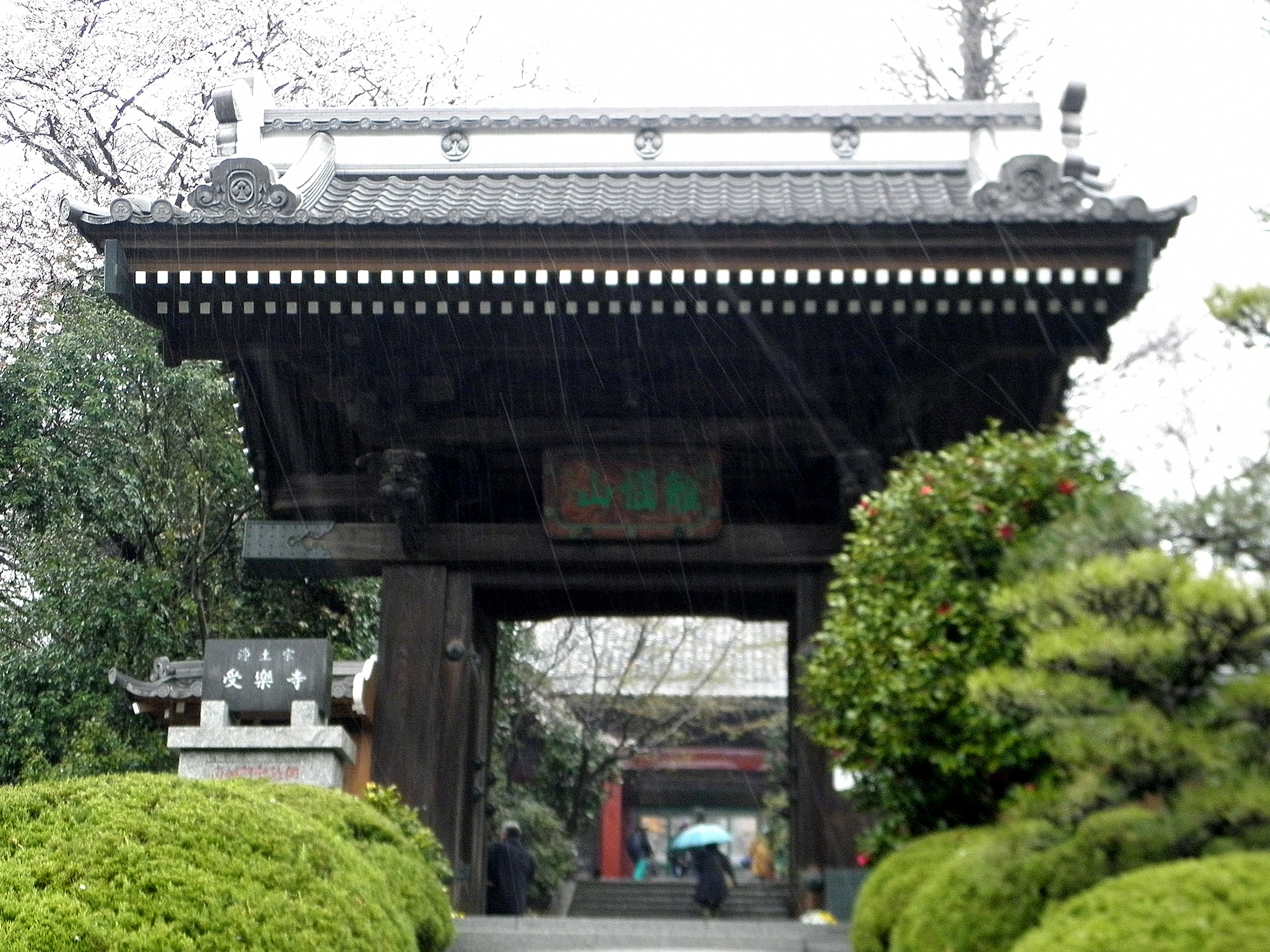 群馬太田市受楽寺１　12.04.14.jpg