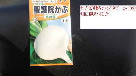 110かぶら.JPG