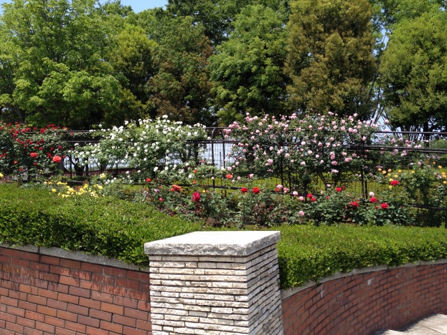 IMG_9065 (640x480).jpg