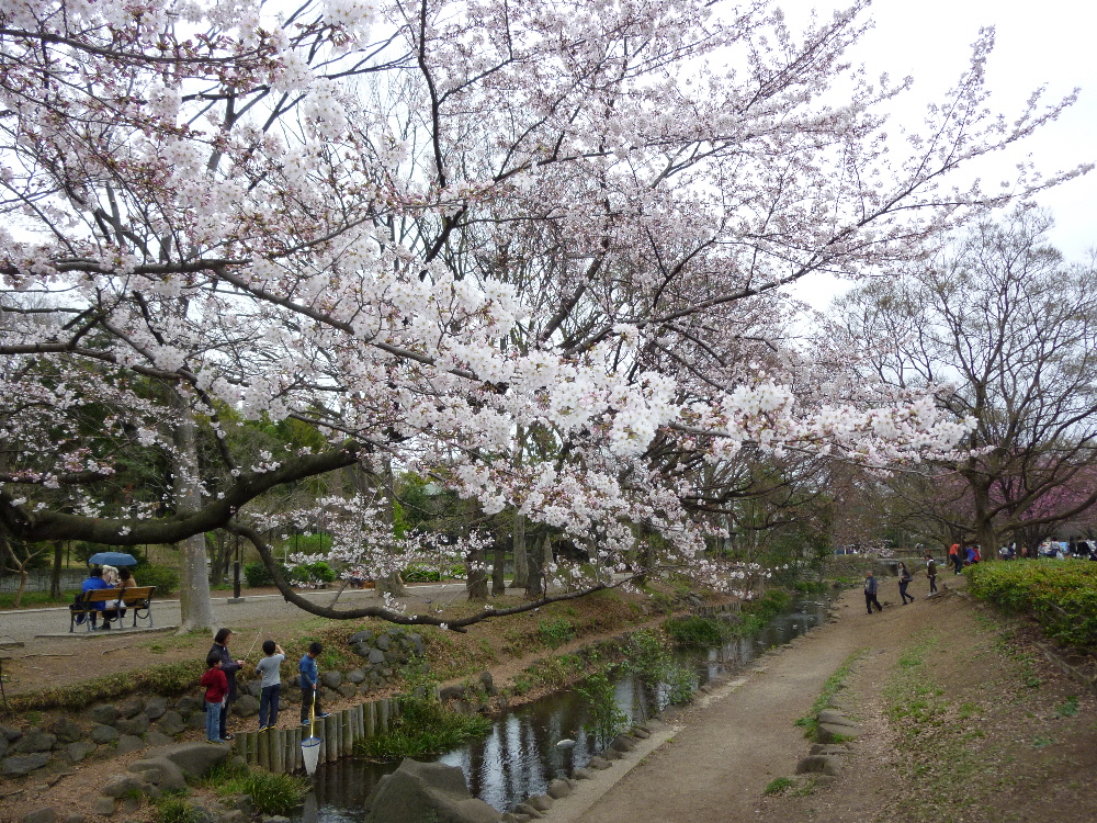 P1120190.JPG