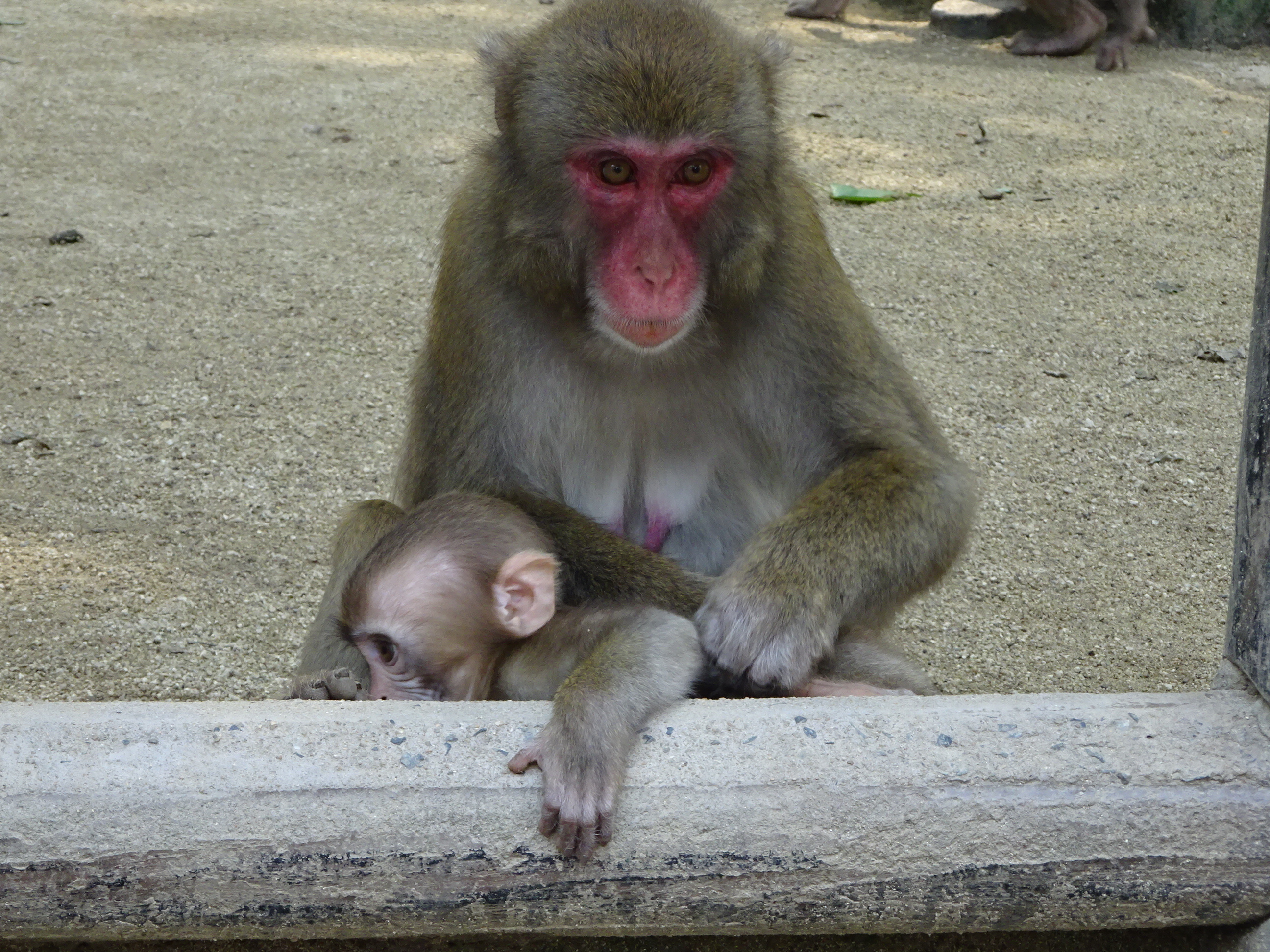 DSC04712.JPG