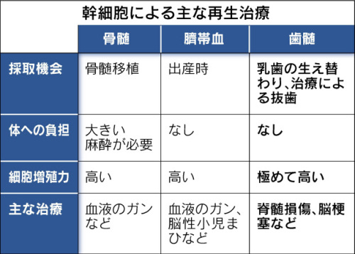 再生医療.jpg