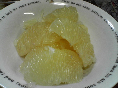 グレープフルーツ22101906