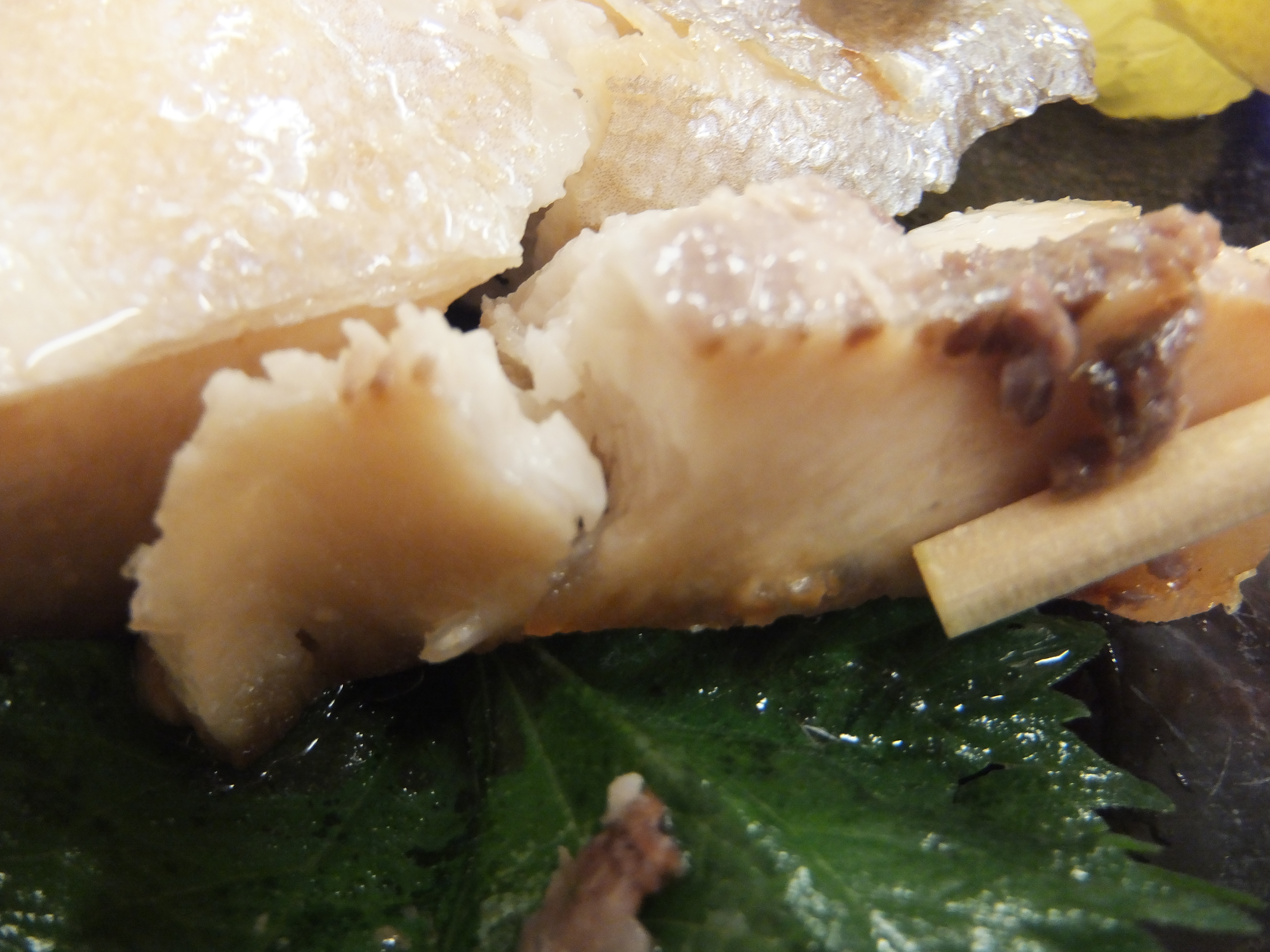 DSCF2650.JPG