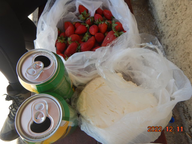 DSCN0449.JPG
