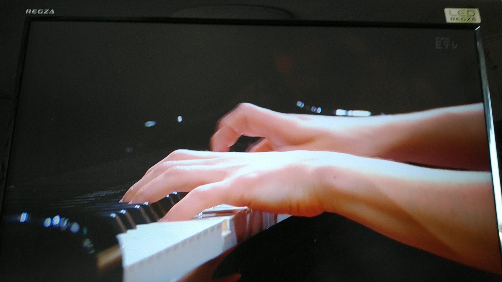 20190901  DSC_0002.jpg.jpg