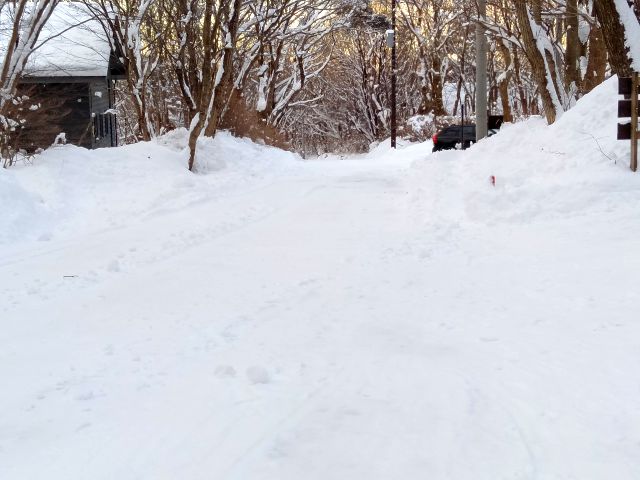 250207road.jpg
